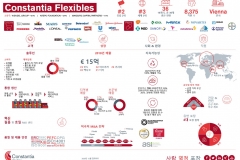 cflex_one_pager_factsheet_2021_KOREA